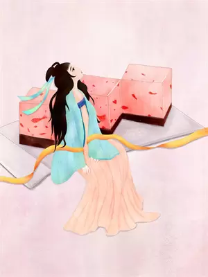 红楼日记曝光后