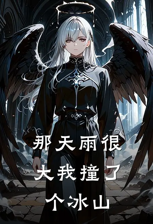 那天雨很大我撞了个冰山